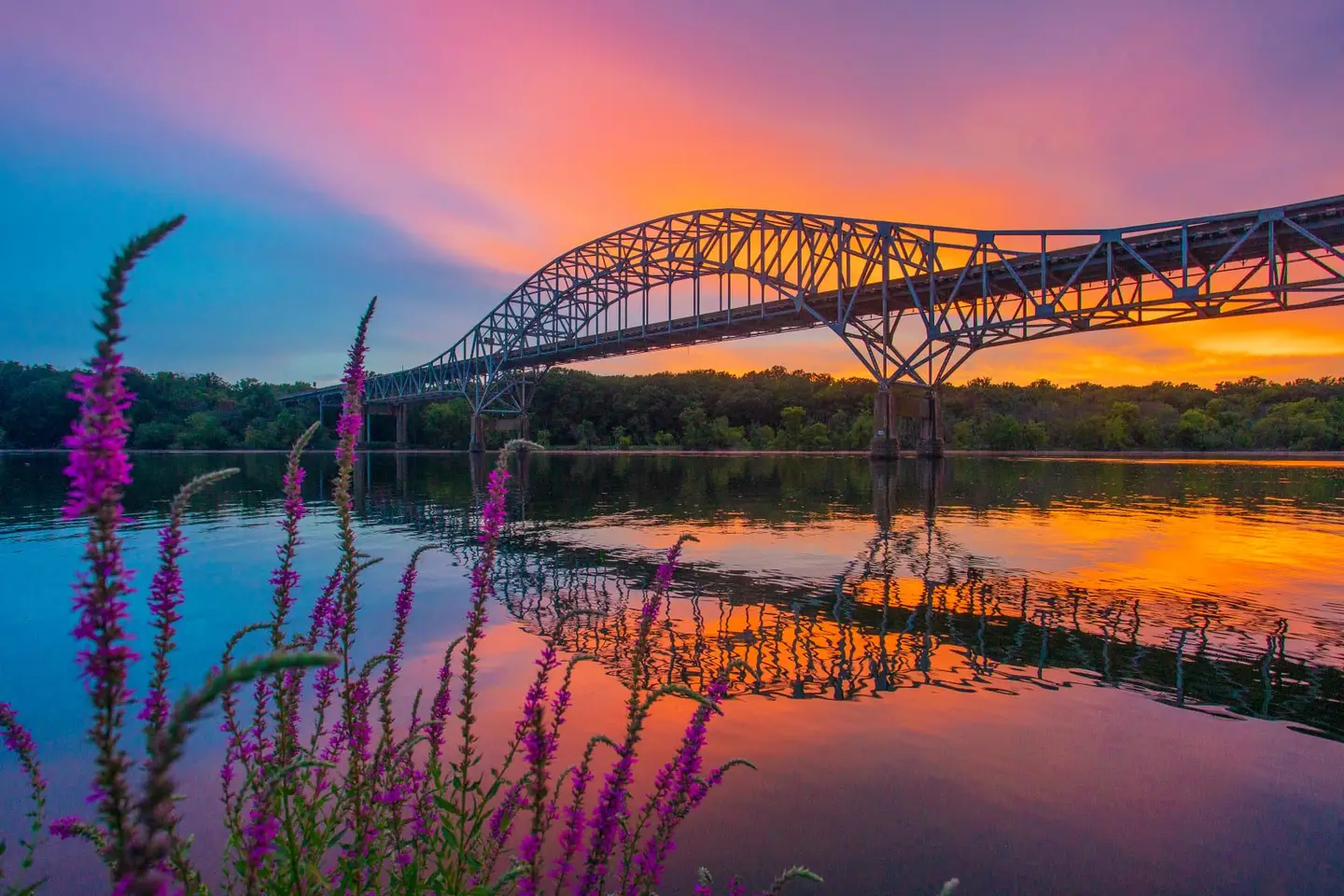 A colorful sunset over the Susquehanna River near Perryville, Maryland, with the Thomas J. Hatem Memorial Bridge reflected in the water and purple wildflowers in the foreground